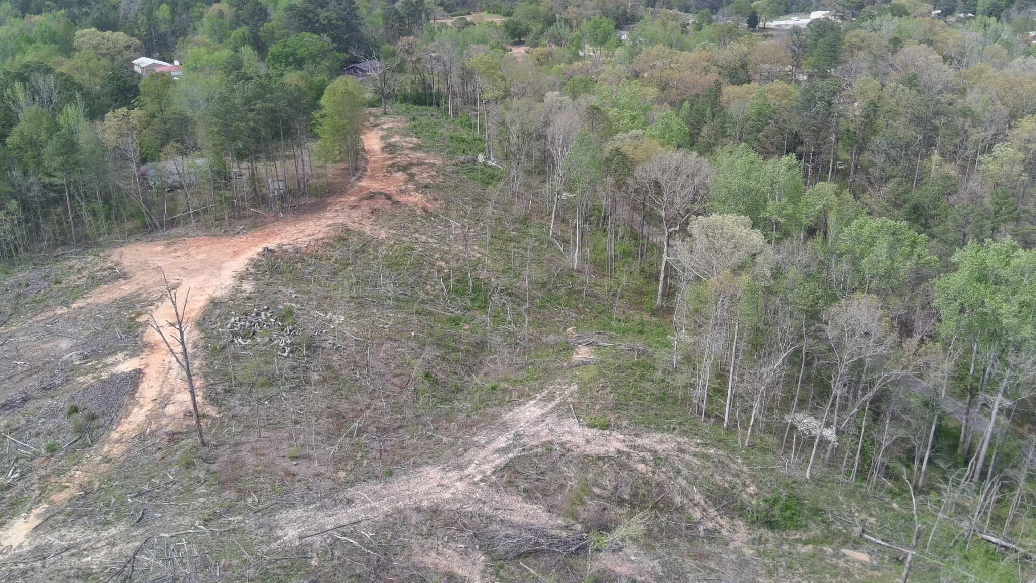 Aerial view of interior dirt road and cleared portions of the property after timber harvest